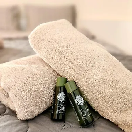 Apartma V8 דירה מריבור