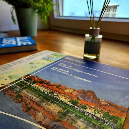 Apartma V8 公寓 马里博尔