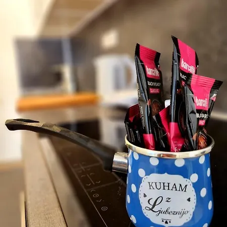 Apartma V8 * Maribor